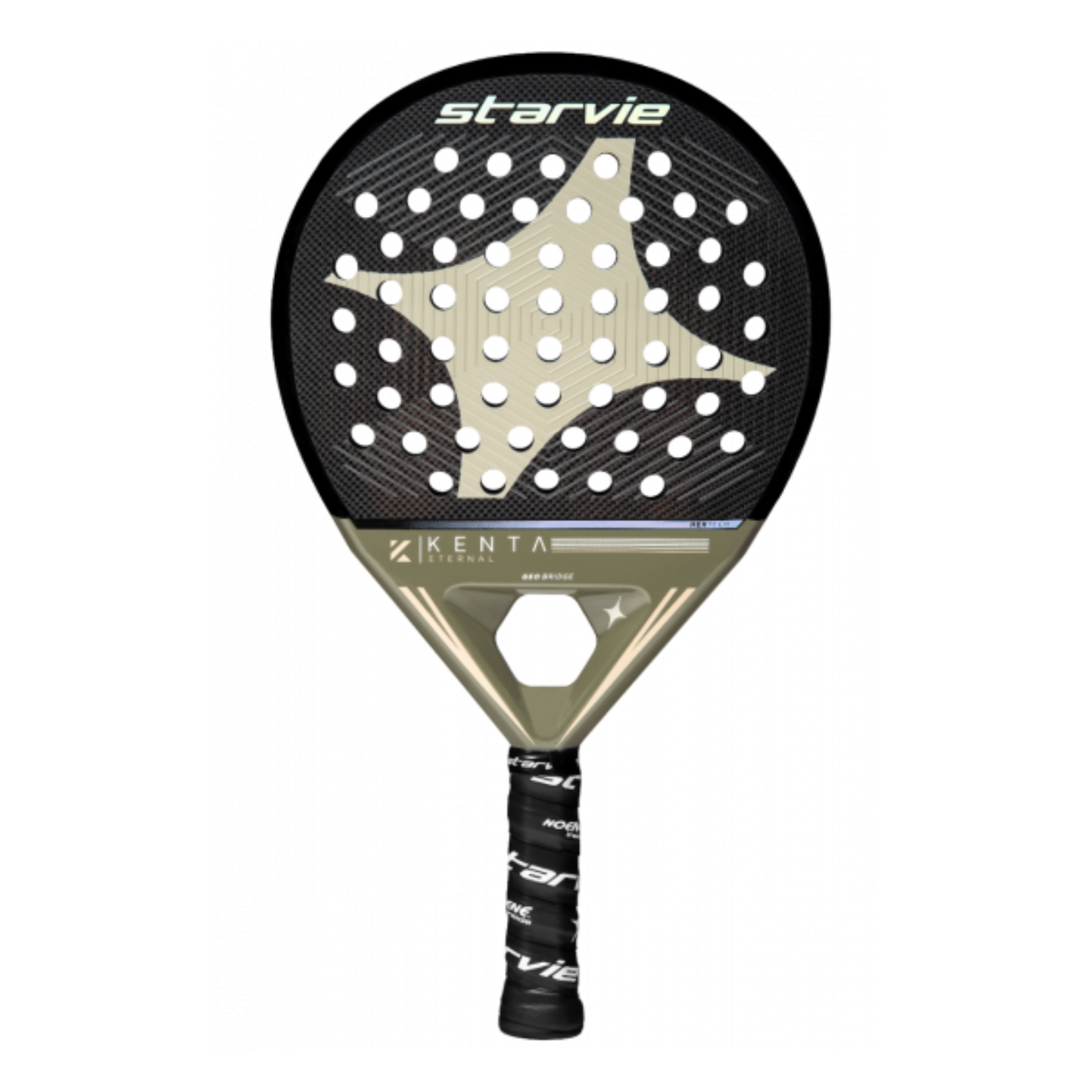 Starvie-Kenta-Pro-3