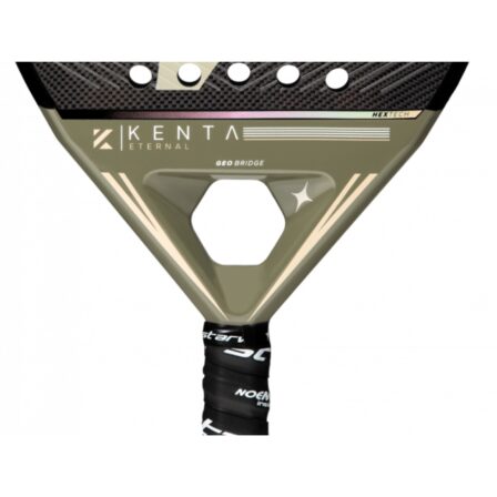 Starvie-Kenta-Pro-5