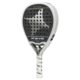 Starvie-Triton-2024-1