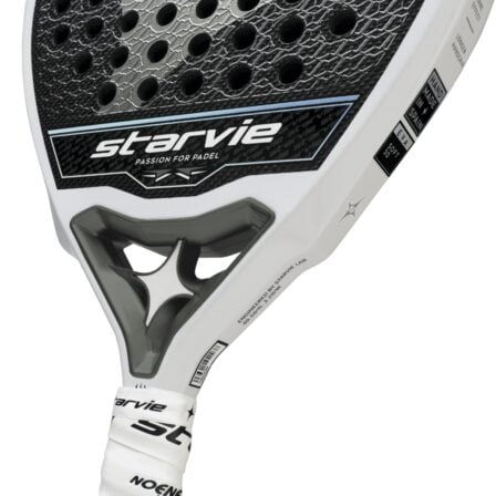 Starvie-Triton-2024-2