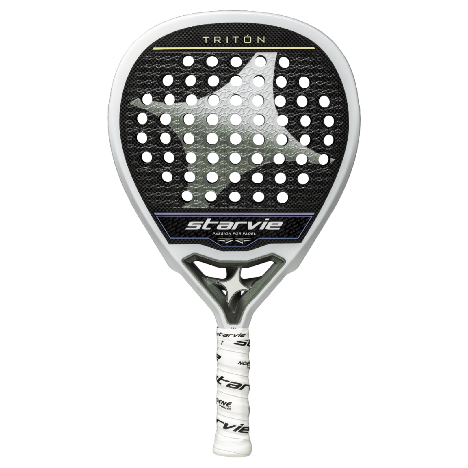 Starvie-Triton-2024