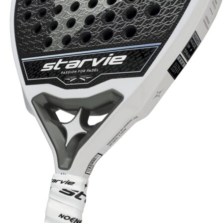 Starvie-Triton-Speed-2024-2