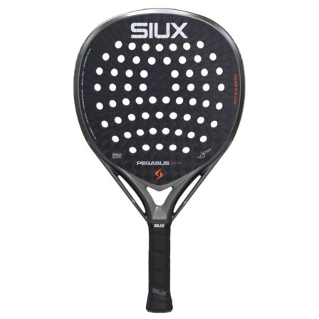 Siux Pegasus Pro 2026
